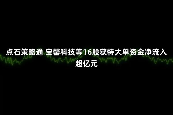 点石策略通 宝馨科技等16股获特大单资金净流入超亿元