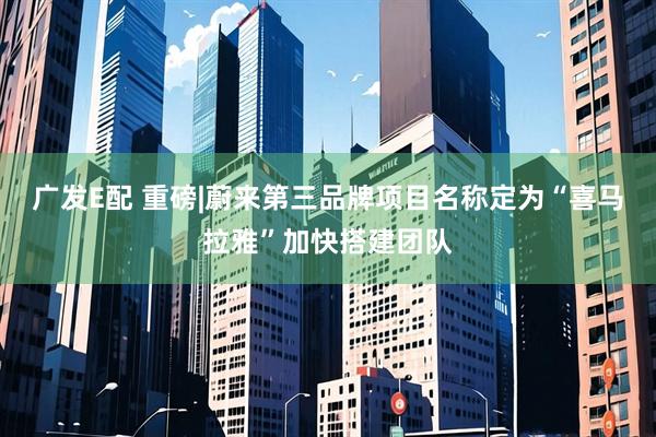 广发E配 重磅|蔚来第三品牌项目名称定为“喜马拉雅”加快搭建团队
