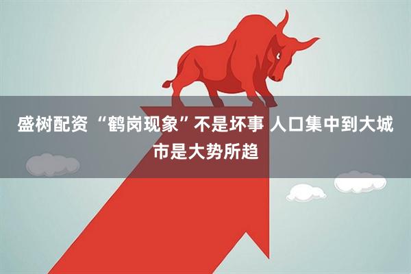 盛树配资 “鹤岗现象”不是坏事 人口集中到大城市是大势所趋