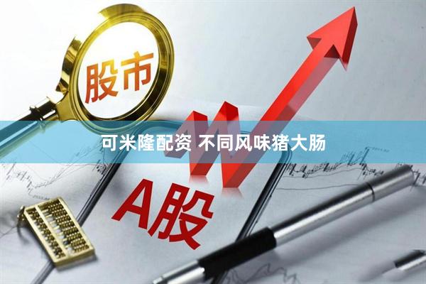 可米隆配资 不同风味猪大肠