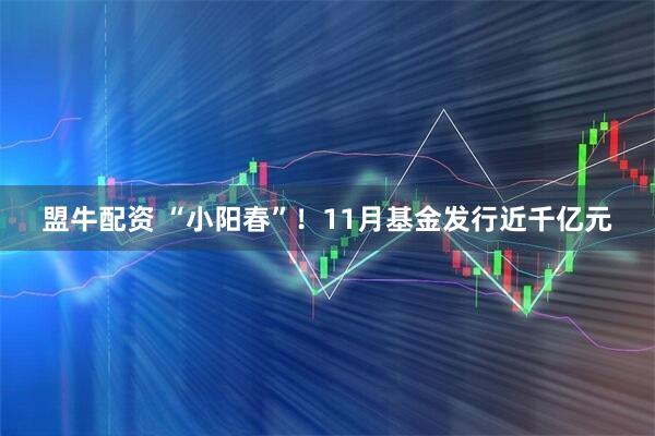 盟牛配资 “小阳春”!11月基金发行近千亿元