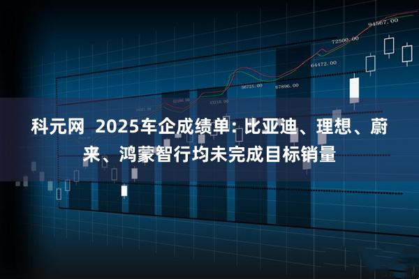科元网 2025车企成绩单: 比亚迪、理想、蔚来、鸿蒙智行均未完成目标销量