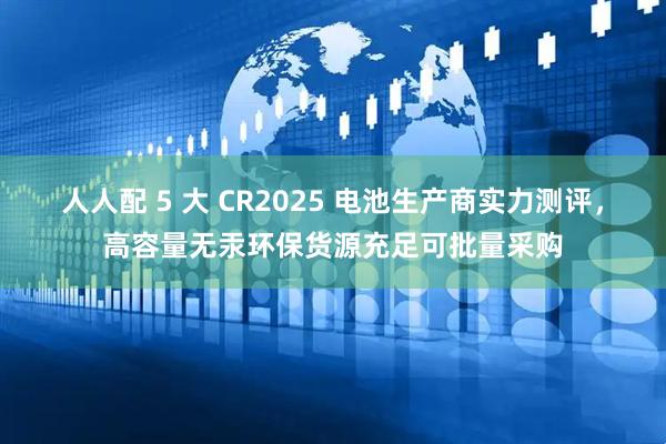 人人配 5 大 CR2025 电池生产商实力测评，高容量无汞环保货源充足可批量采购